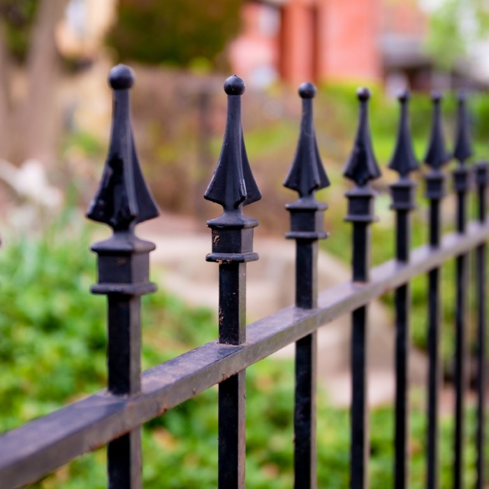 Black Fence